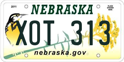 NE license plate XOT313