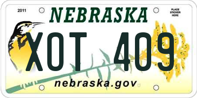 NE license plate XOT409