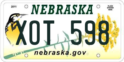 NE license plate XOT598