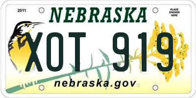 NE license plate XOT919