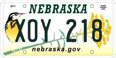 NE license plate XOY218