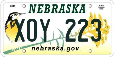 NE license plate XOY223