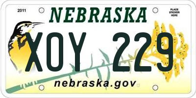 NE license plate XOY229
