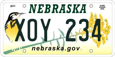 NE license plate XOY234