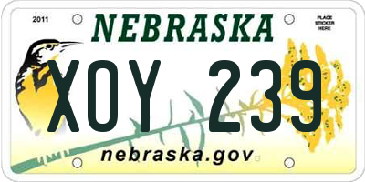 NE license plate XOY239