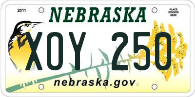 NE license plate XOY250