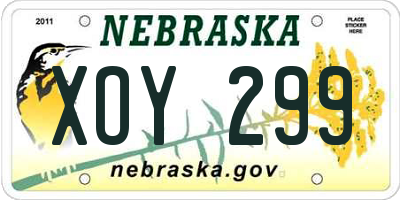 NE license plate XOY299