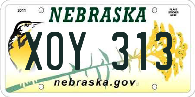 NE license plate XOY313