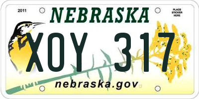 NE license plate XOY317