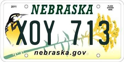 NE license plate XOY713