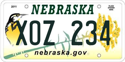 NE license plate XOZ234