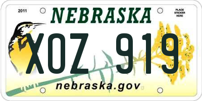 NE license plate XOZ919