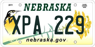 NE license plate XPA229