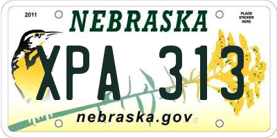 NE license plate XPA313