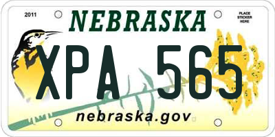 NE license plate XPA565