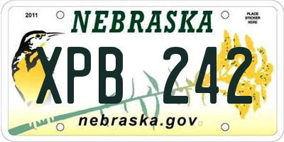 NE license plate XPB242