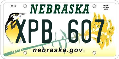 NE license plate XPB607