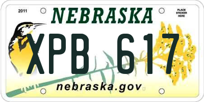 NE license plate XPB617