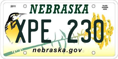 NE license plate XPE230