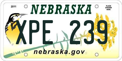 NE license plate XPE239