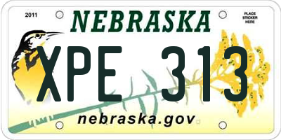 NE license plate XPE313
