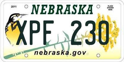 NE license plate XPF230