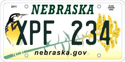 NE license plate XPF234