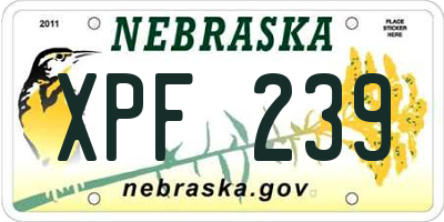 NE license plate XPF239