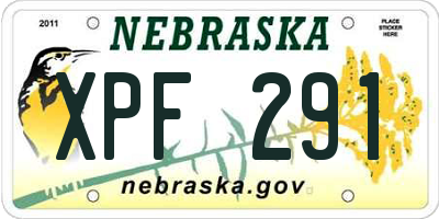 NE license plate XPF291
