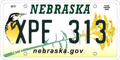NE license plate XPF313