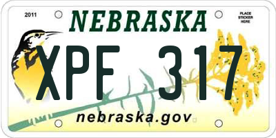 NE license plate XPF317