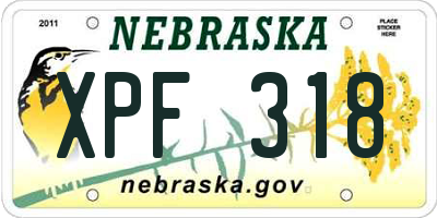 NE license plate XPF318