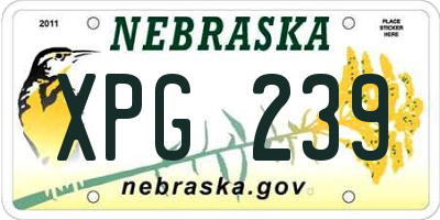 NE license plate XPG239
