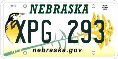 NE license plate XPG293
