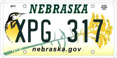 NE license plate XPG317
