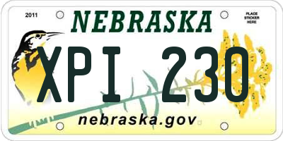 NE license plate XPI230