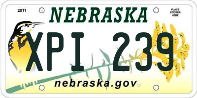NE license plate XPI239