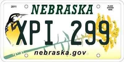 NE license plate XPI299