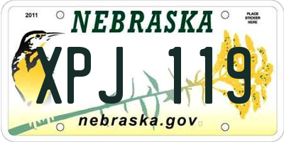 NE license plate XPJ119