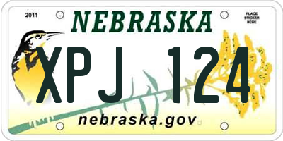 NE license plate XPJ124