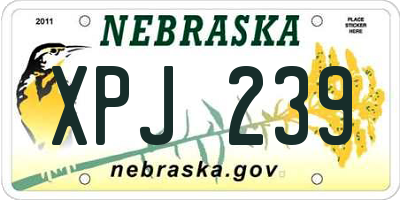 NE license plate XPJ239