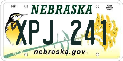 NE license plate XPJ241