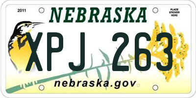 NE license plate XPJ263