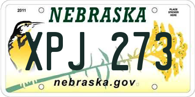 NE license plate XPJ273