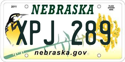 NE license plate XPJ289