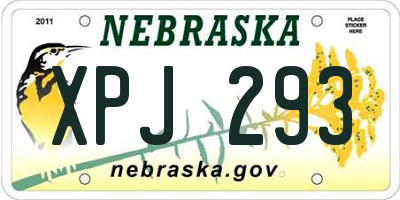 NE license plate XPJ293