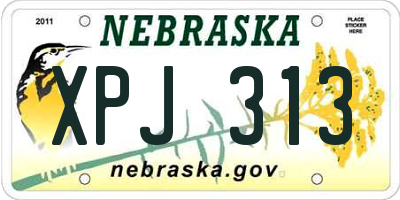 NE license plate XPJ313
