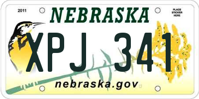 NE license plate XPJ341