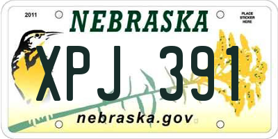 NE license plate XPJ391
