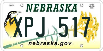 NE license plate XPJ517